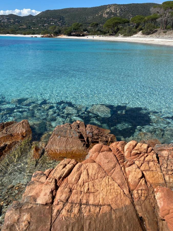 Palombaggia Location I Pini Porto Vecchio Otel Dış mekan fotoğraf