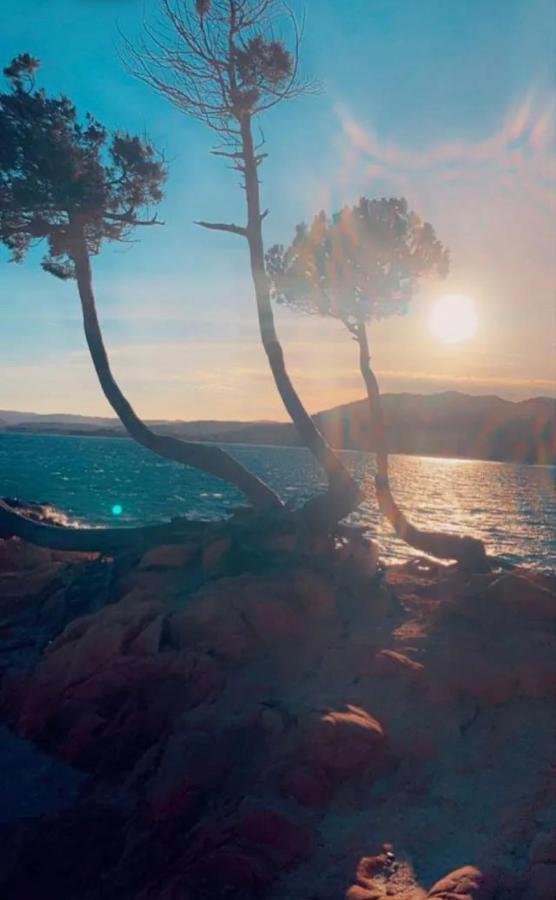 Palombaggia Location I Pini Porto Vecchio Otel Dış mekan fotoğraf